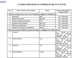 Model in excel pentru NIR | CabinetExpert.ro - blog contabilitate