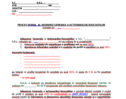 Bilanț 31.12.2021 – Raport/Proces-verbal pentru Adunare Generala Asociați/Acționari (model pentru situație pierdere)