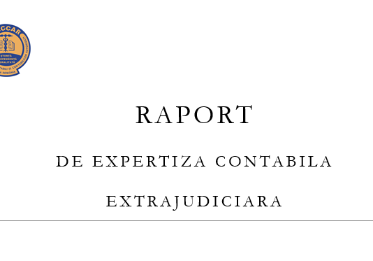 Expertiza contabila majorare capital social din aport personal patron – model orientativ (editabil)