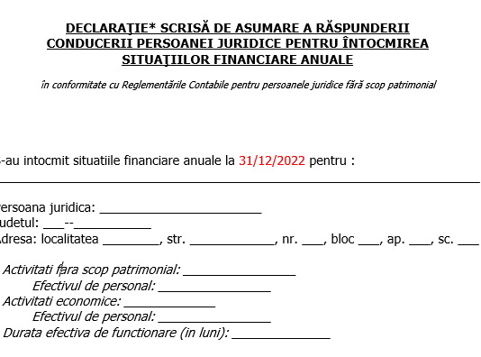 Declarație pe propria răspundere a persoanei care are obligația gestionarii entității (2023) – model pentru bilanț ONG la 31.12.2022