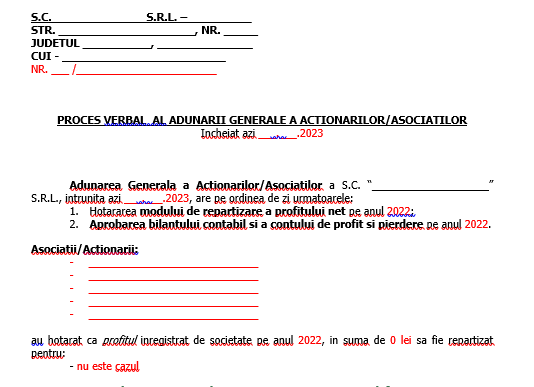 Raport/Proces-Verbal pentru Adunare Generala Asociați/Acționari (model pentru situație pierdere) – dosar bilanț la 31.12.2022