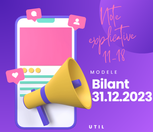 Modele actualizate la nivelul anului 2024 (notele de la 11-18) – note explicative pentru bilanțul LUNG la 31.12.2023