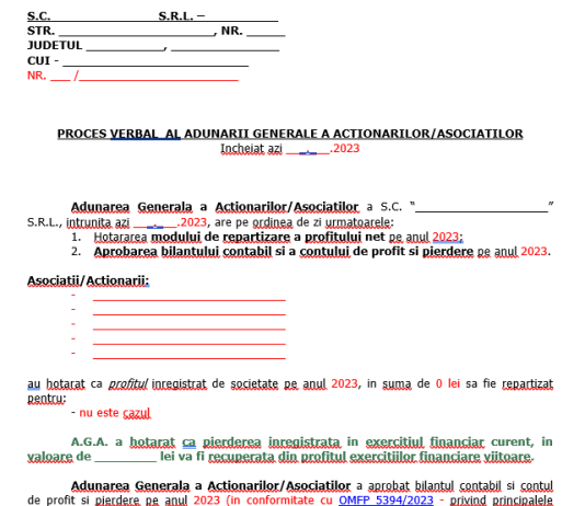 Raport/Proces-Verbal pentru Adunare Generala Asociați/Acționari (model pentru situație pierdere) – dosar bilanț la 31.12.2023