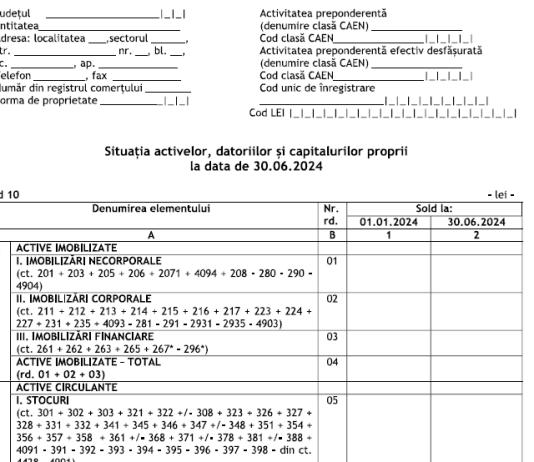 Ce se anexează la dosarul bilanțului semestrial/raportării la 30.06.2024 – info util si orientativ