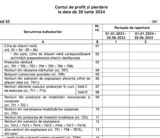 Ce date trecem în raportarea (bilanțul) din 30.06.2024, dacă la 30.06.2023 nu s-a făcut raportare contabilă – info